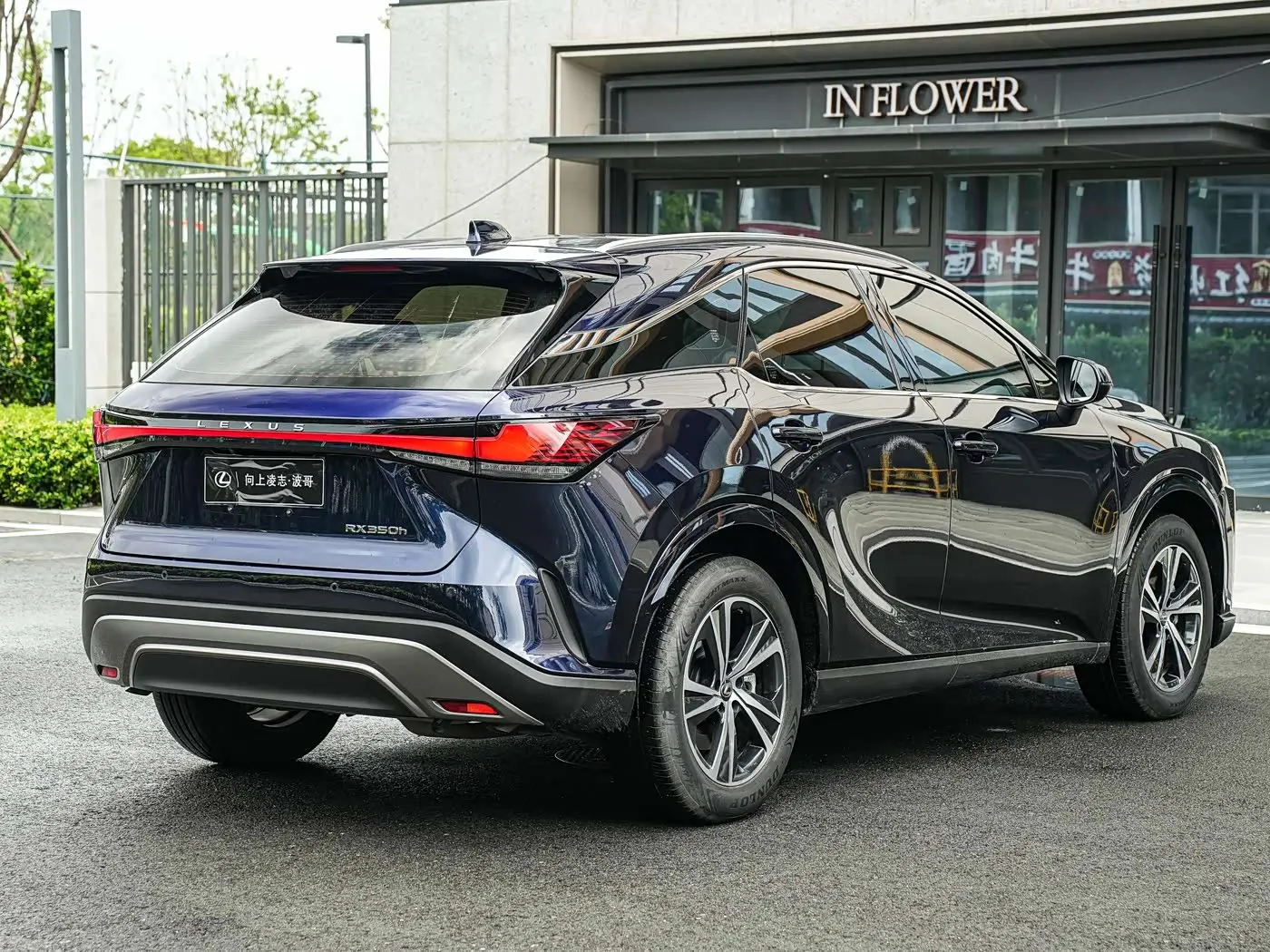 Lexus RX 2023 — Фото 4/20