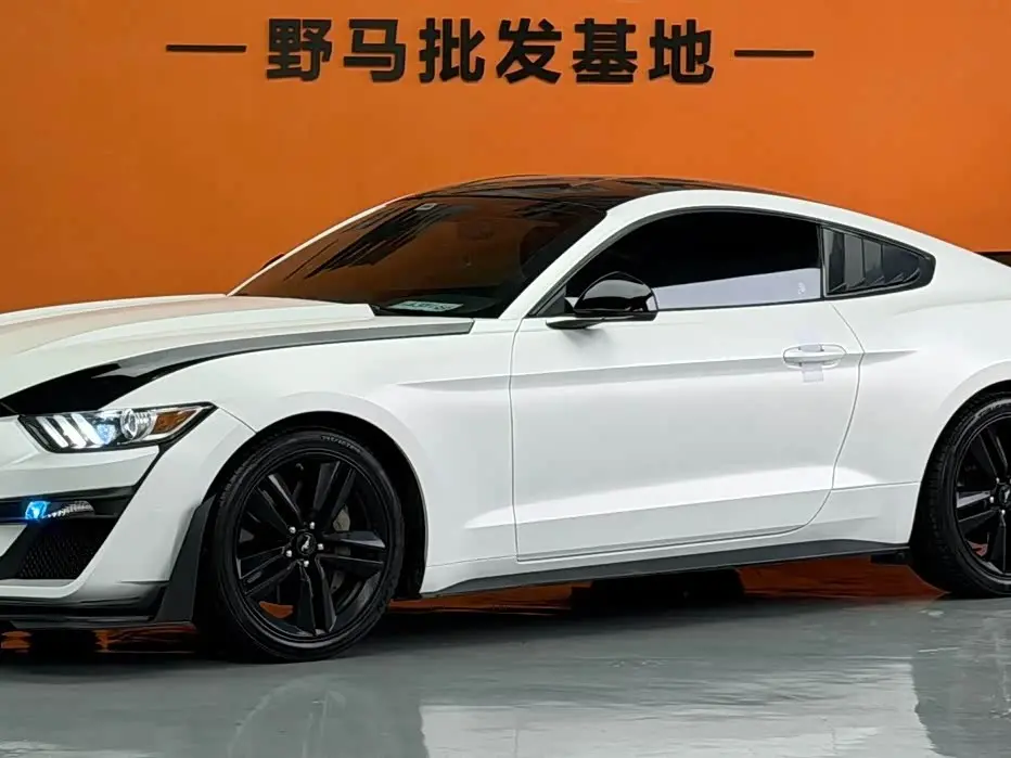 Ford Mustang 2017 — Photo 1/6
