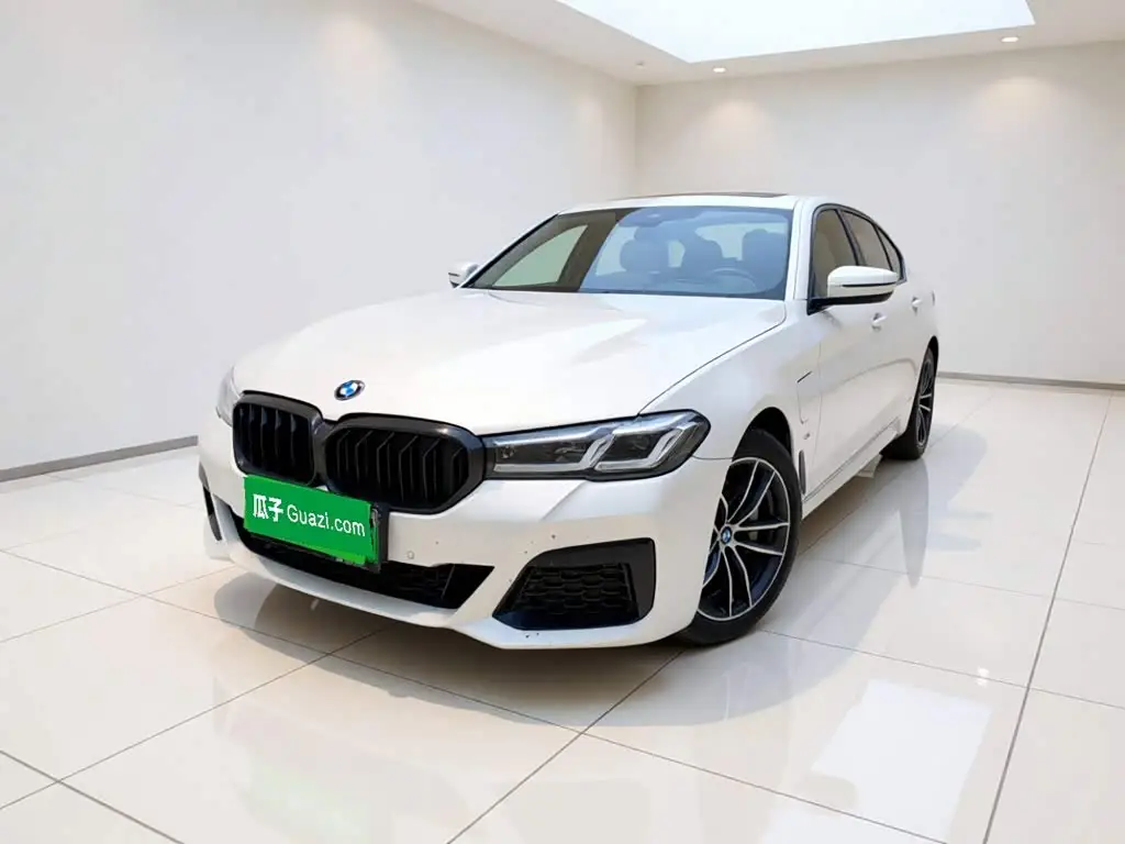 BMW 5 Series New Energy, 2021
