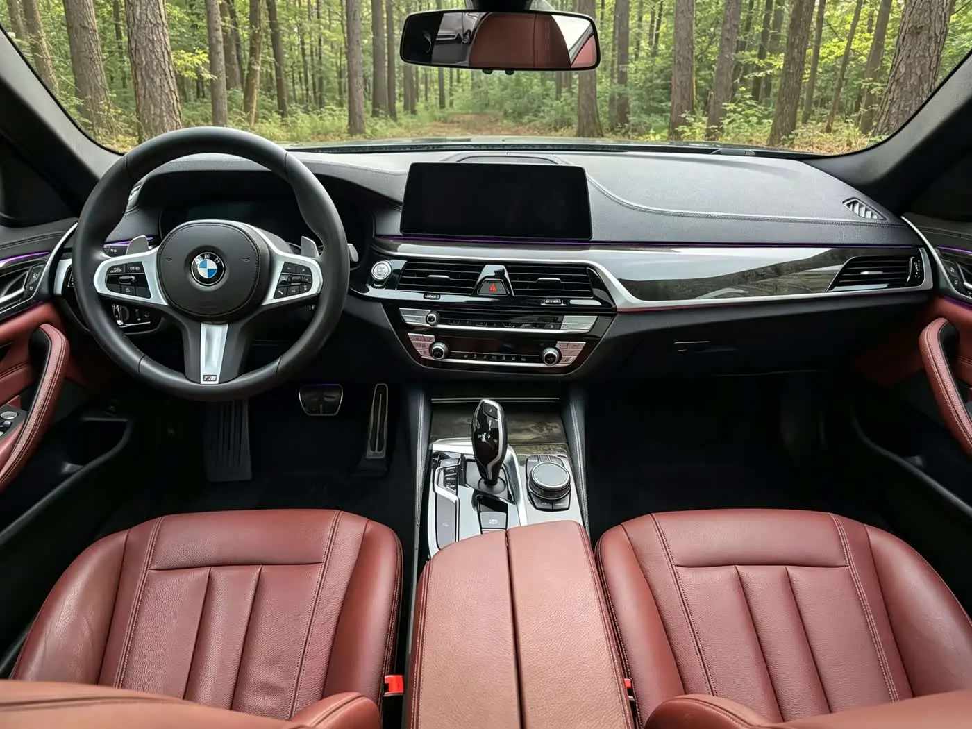 BMW 5 Series 2020 — Şəkil 13/20