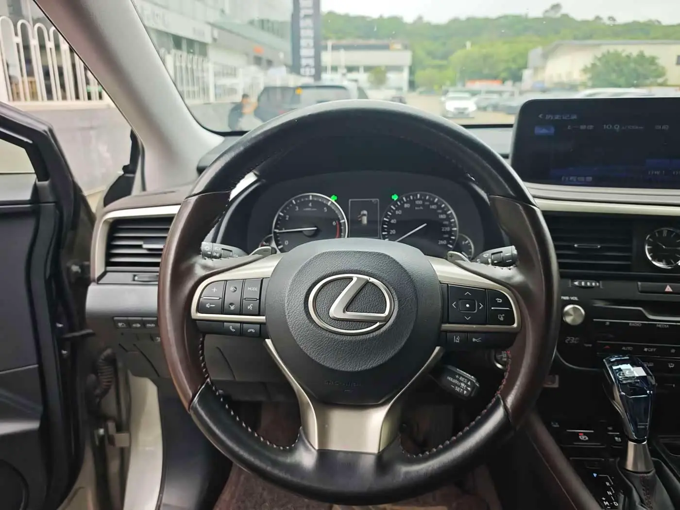 Lexus RX 2022 — ფოტო 9/18