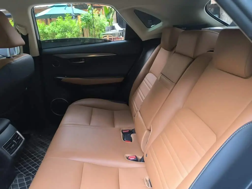 Lexus NX 2018 — Photo 15/20