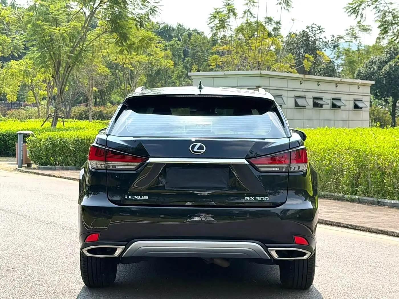 Lexus RX 2020 — Фото 8/9