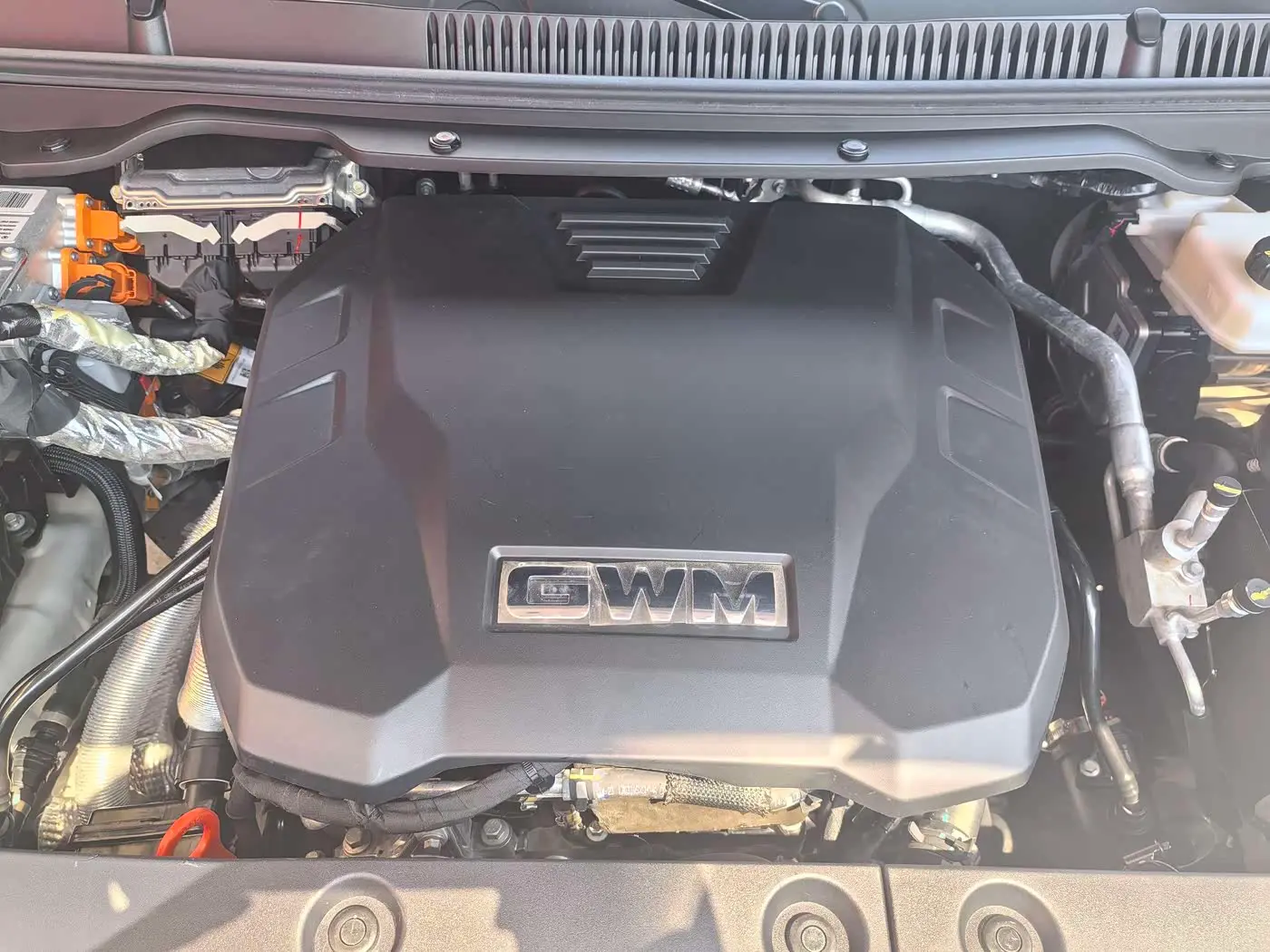 Tank 500 EV 2023 — Photo 17/20