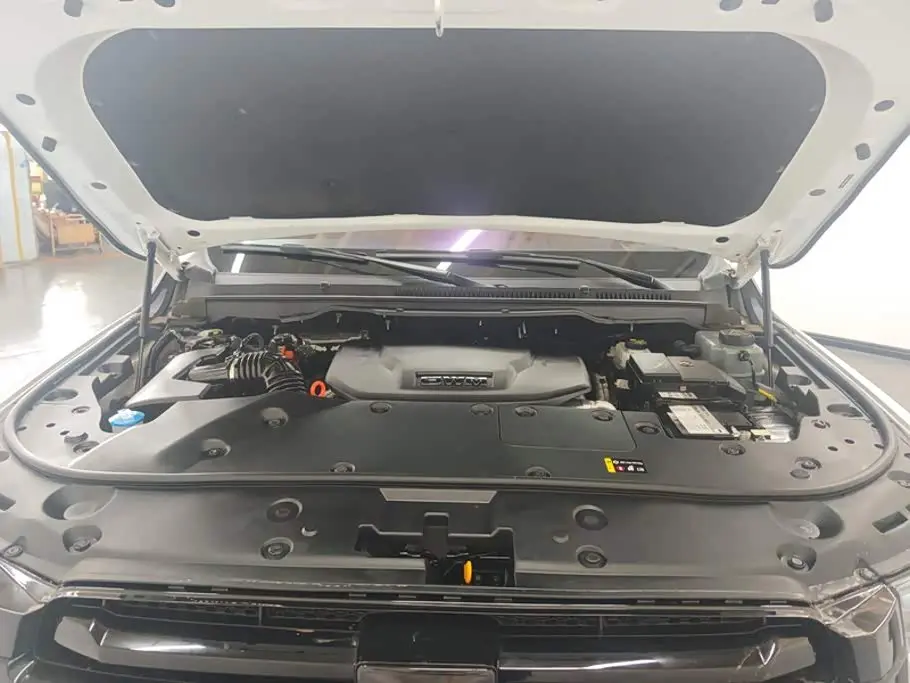 Tank 500 EV 2024 — Photo 10/16