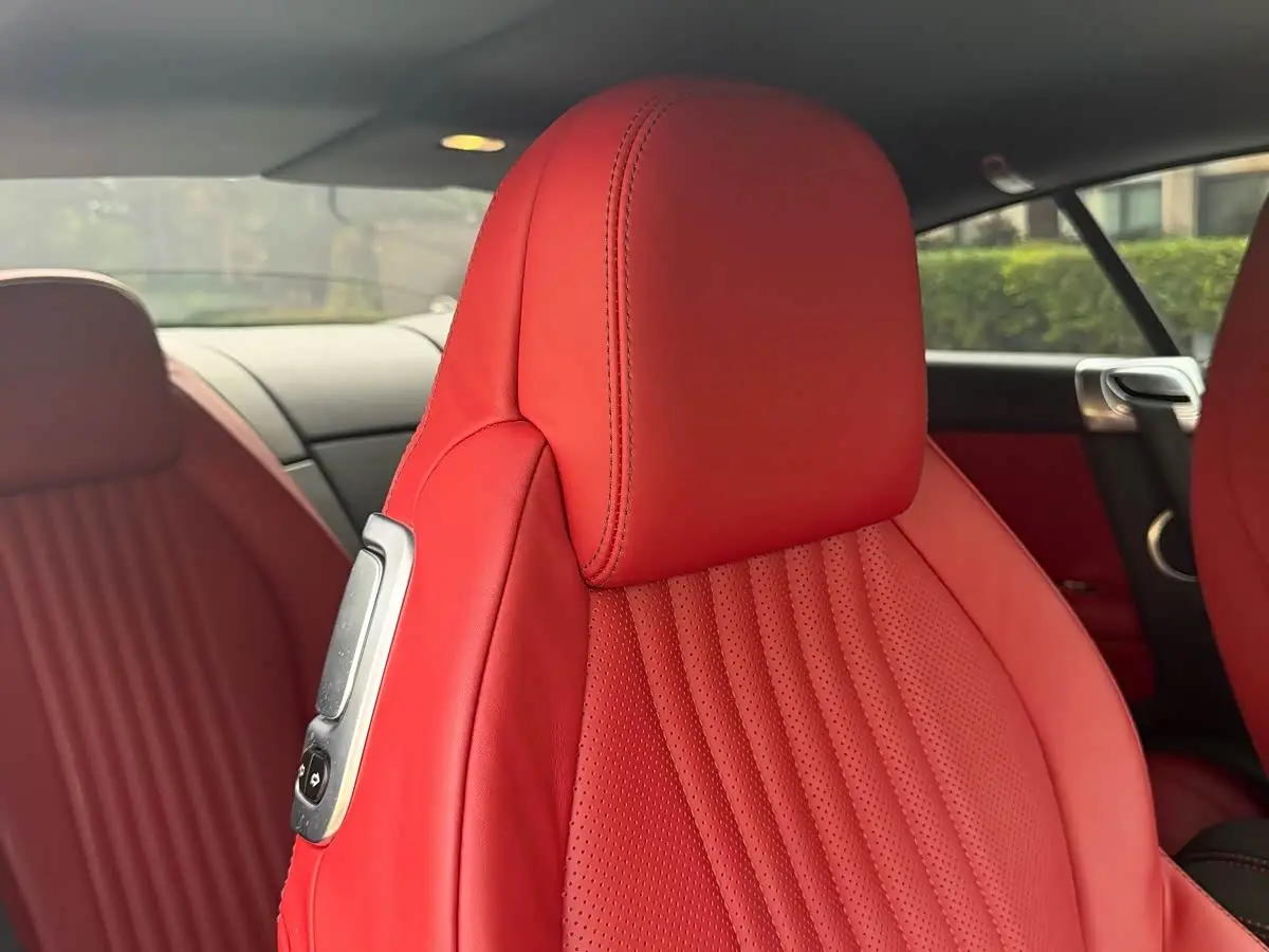 Bentley Continental 2018 — Фото 20/20