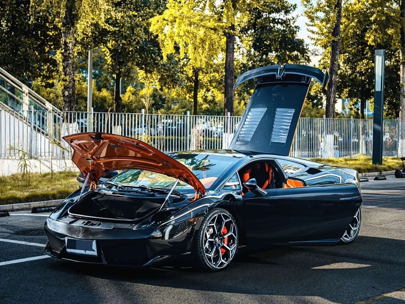 Lamborghini Gallardo 2014 — Şəkil 10/17