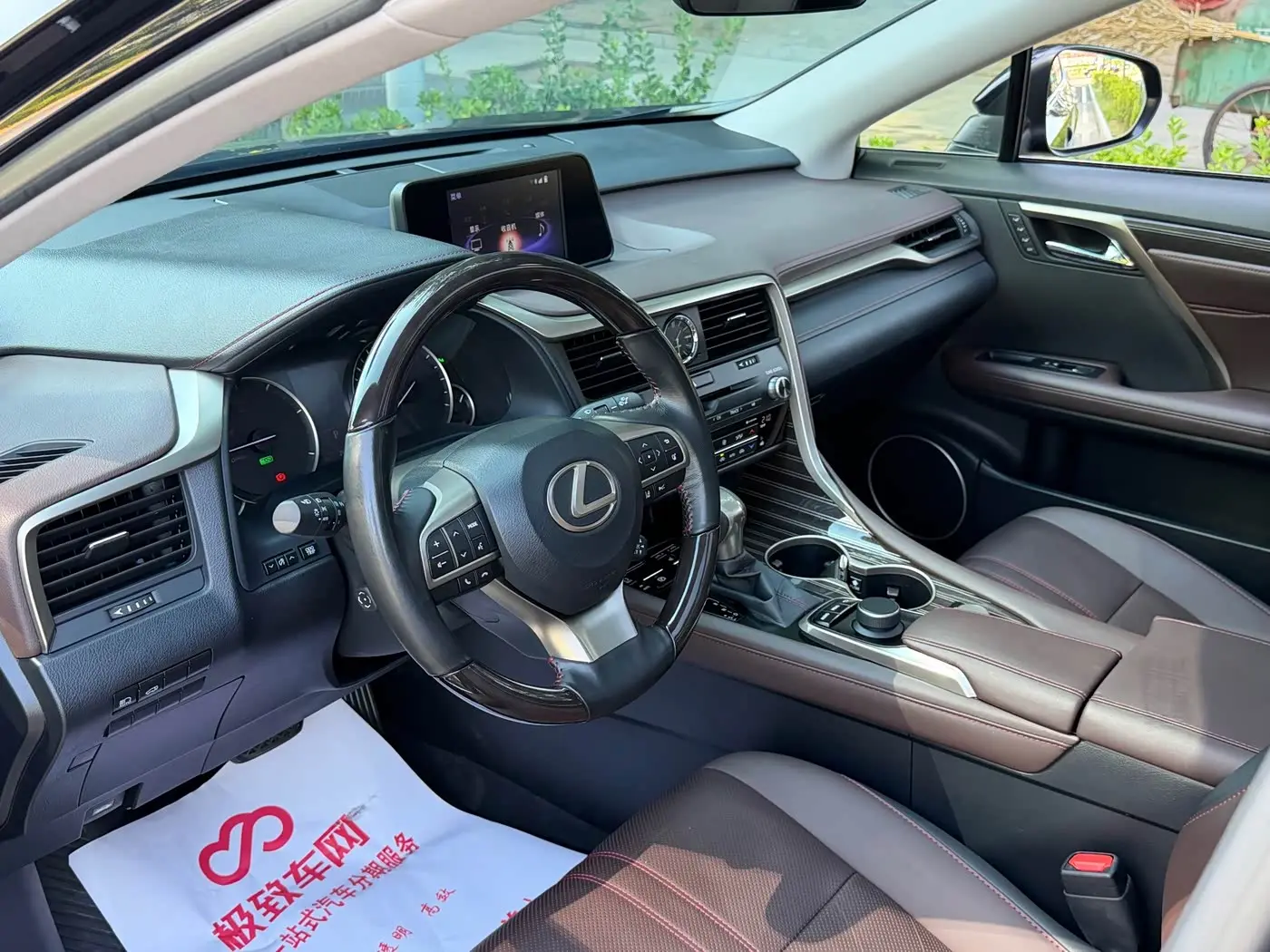 Lexus RX 2017 — Photo 12/20
