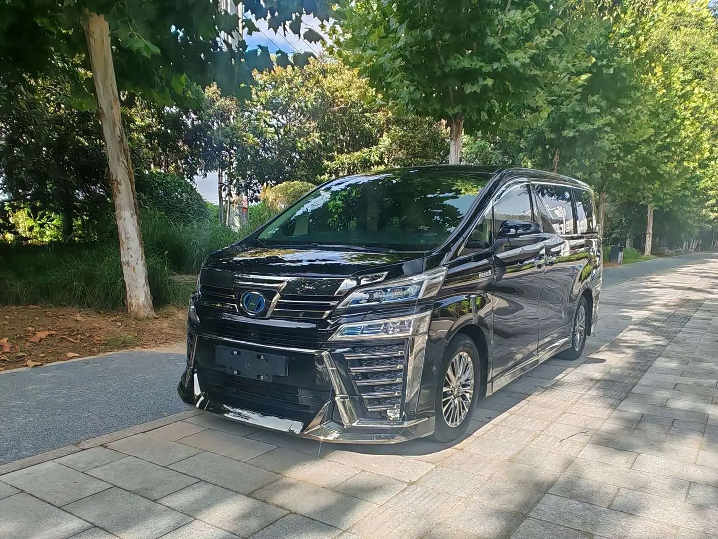 Toyota Vellfire 2020 — Photo 1/9