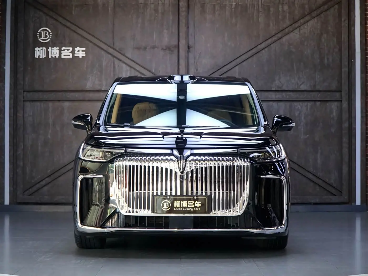 Voyah Auto Voyah Dreamer 2025 — Photo 2/20