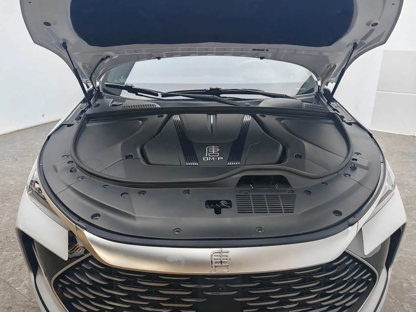 BYD Tang New Energy 2023 — Фото 12/20