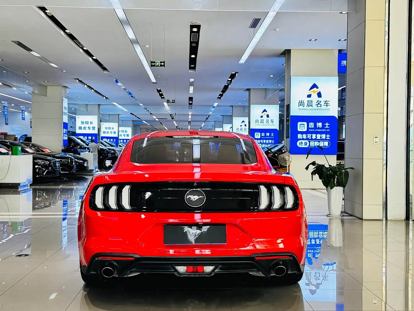 Ford Mustang 2019 — ფოტო 16/18