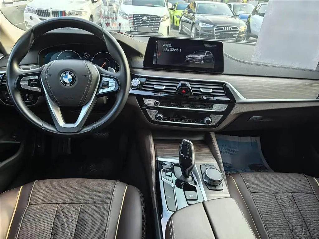 BMW 5 Series 2019 — Photo 16/16