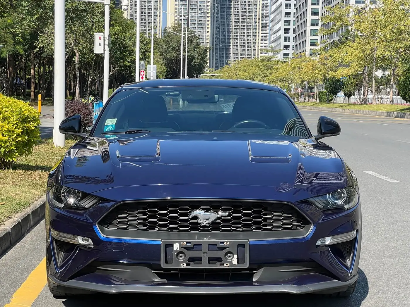 Ford Mustang 2020 — Фото 2/17