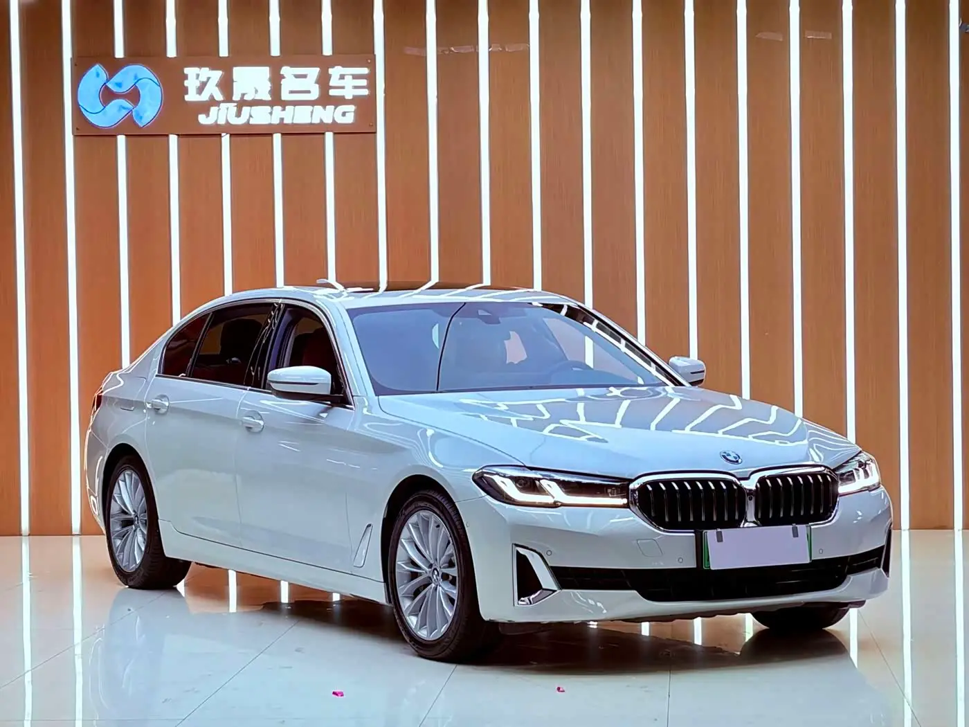 BMW 5 Series New Energy 2021 — Фото 3/20