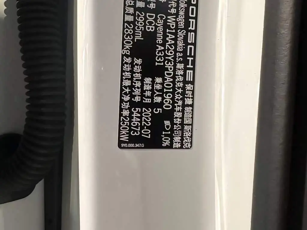 Porsche Cayenne 2022 — Photo 11/17