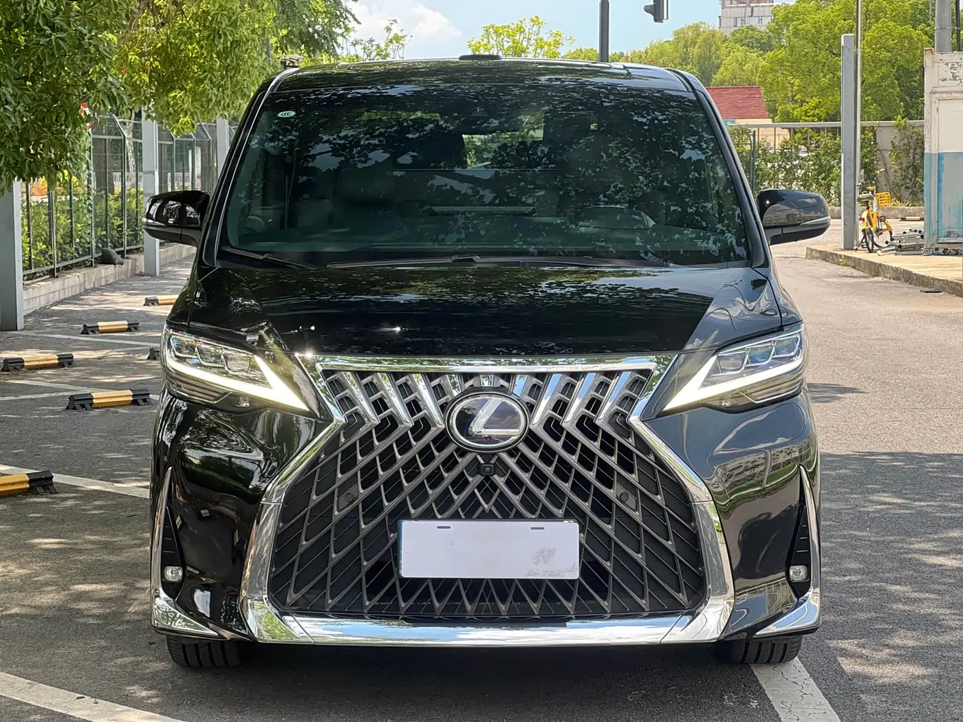 Lexus LM 2020 — Photo 2/20