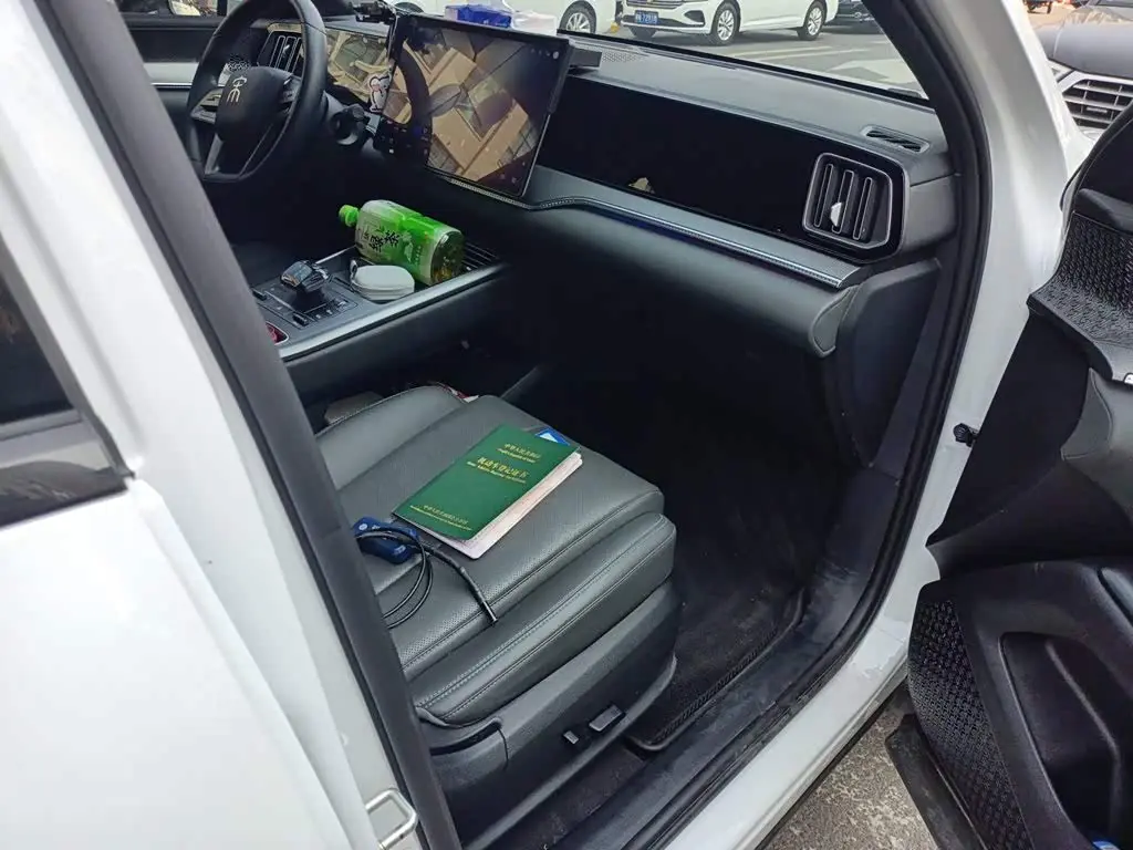 BYD Song Pro New Energy 2025 — Фото 19/20