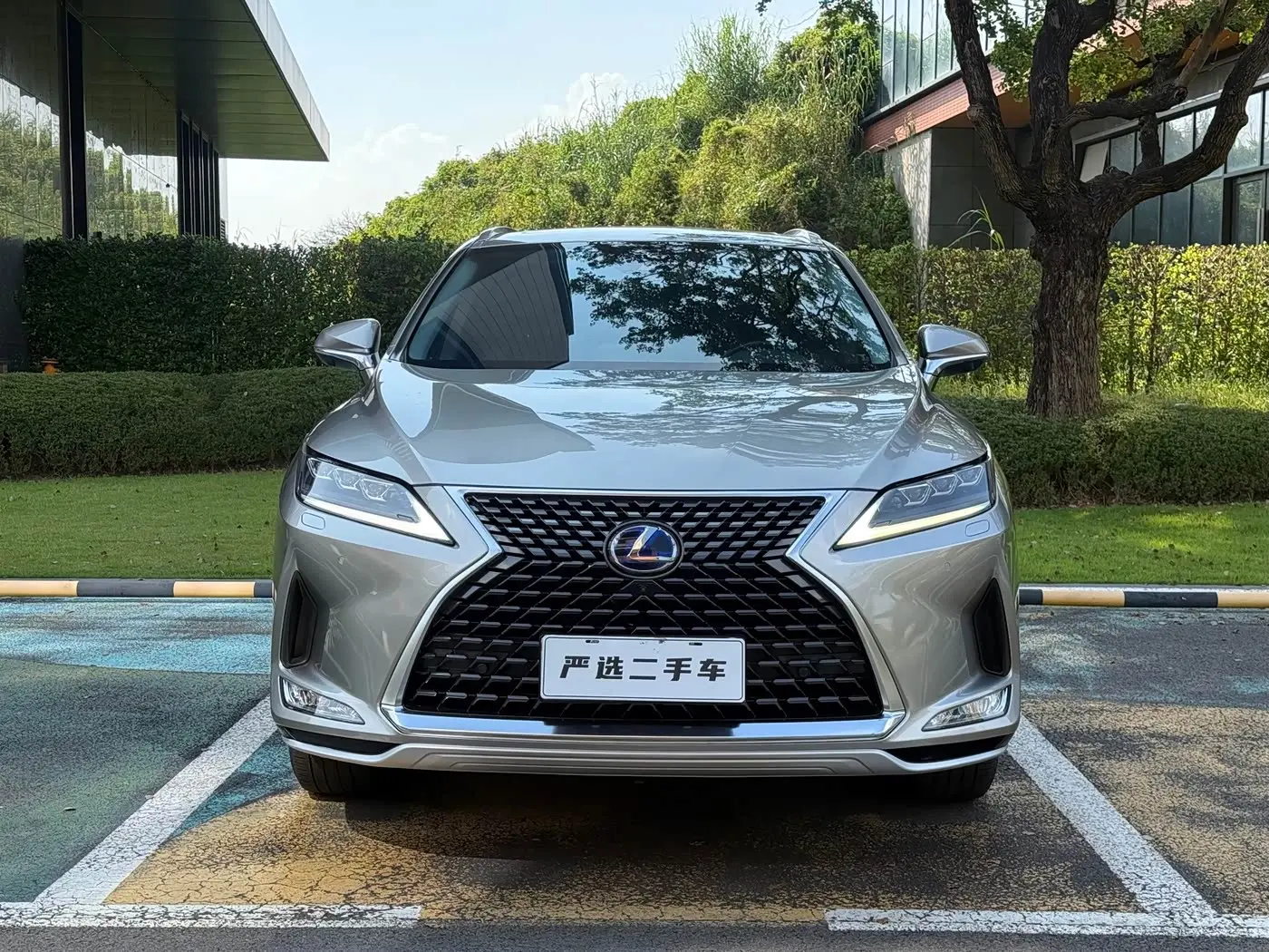 Lexus RX 2020 — Photo 2/16