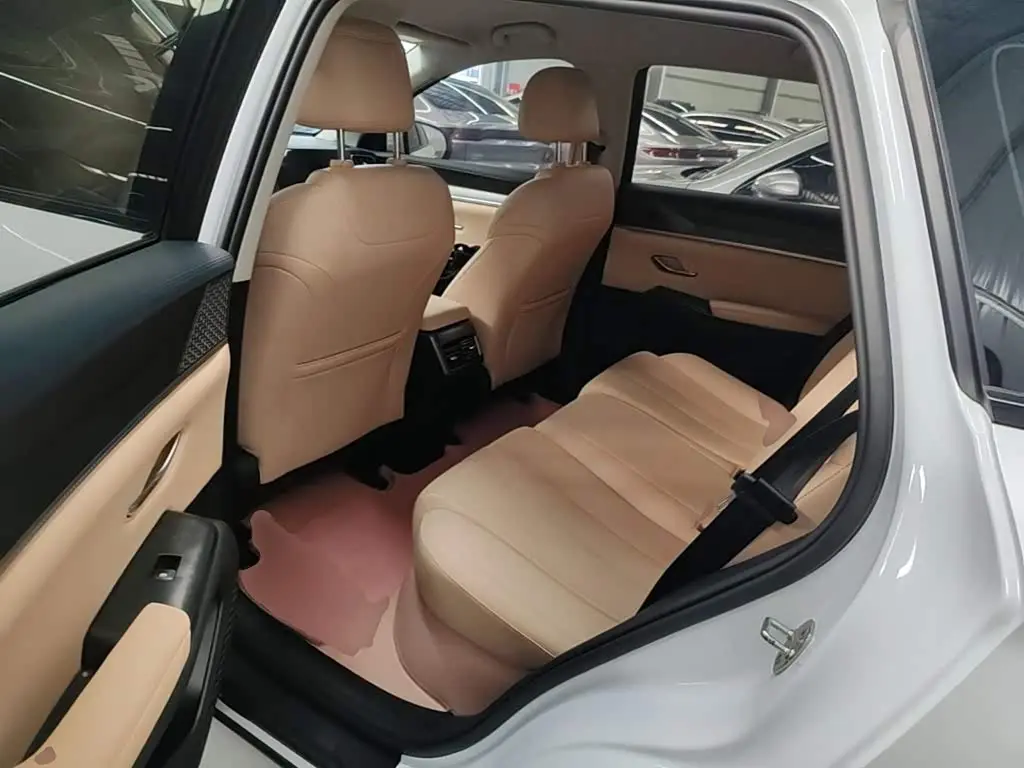 BYD Song Pro New Energy 2025 — Фото 17/20