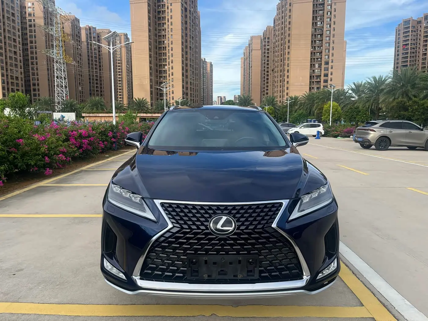 Lexus RX 2020 — Şəkil 2/9