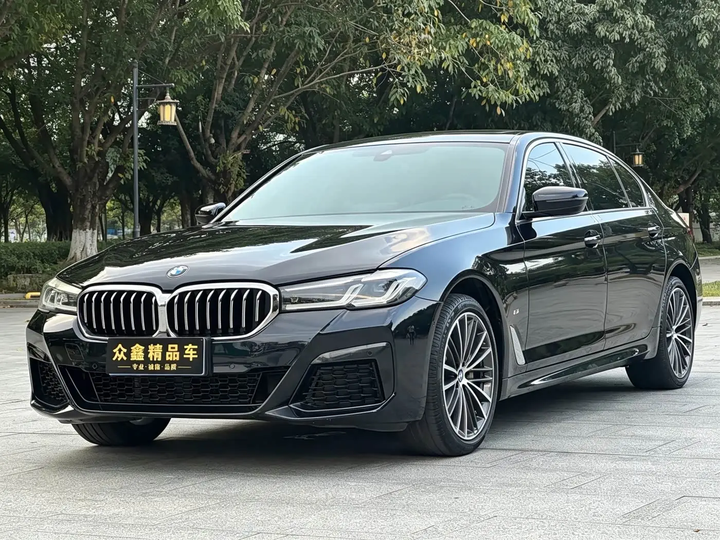 BMW 5 Series 2022 — Photo 1/17
