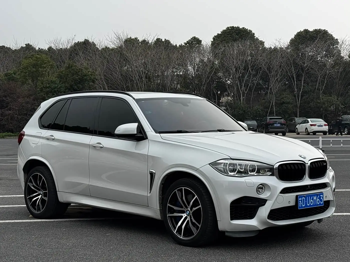 BMW X5 M, 2017