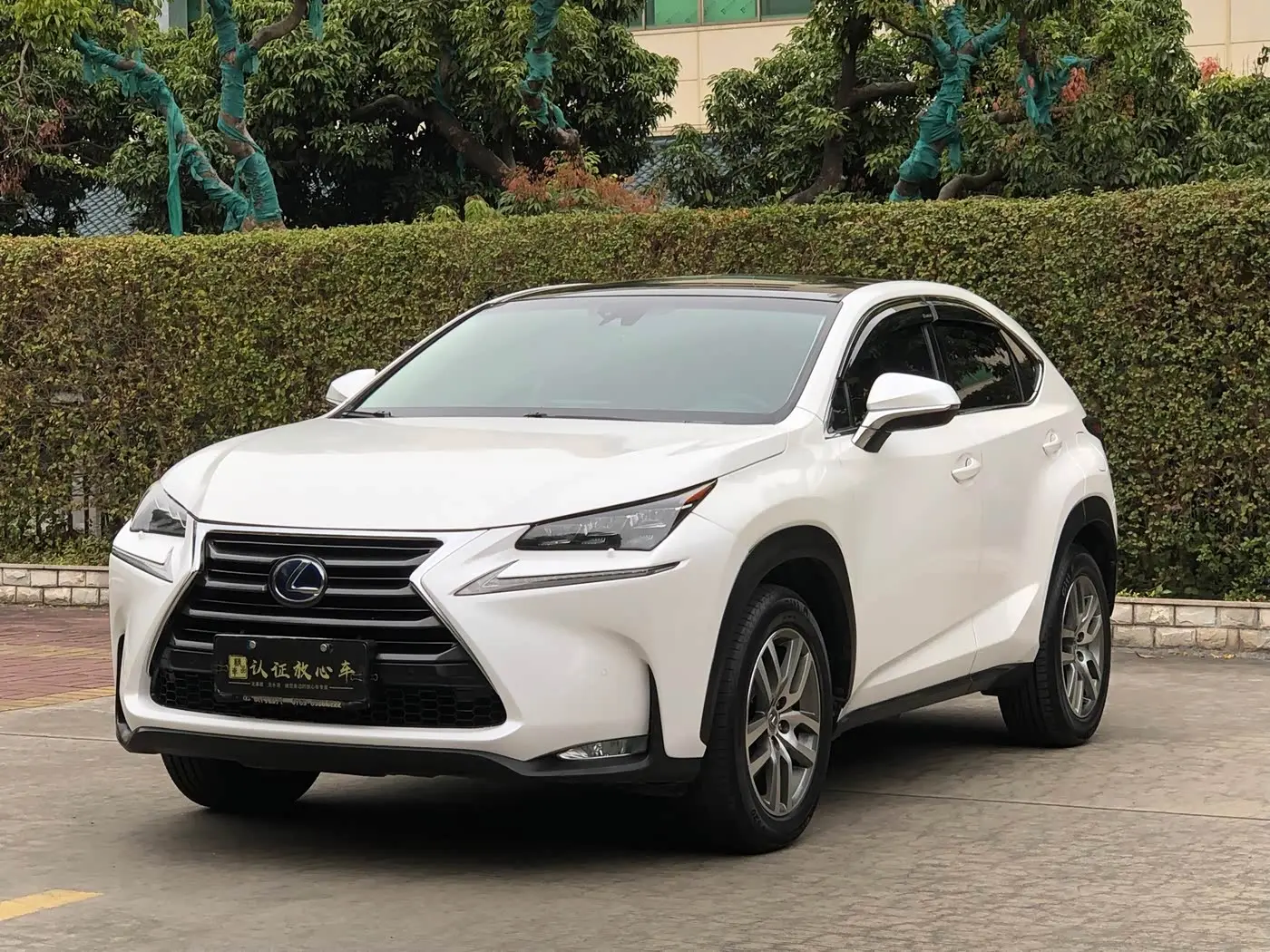 Lexus NX 2016 — Şəkil 1/20