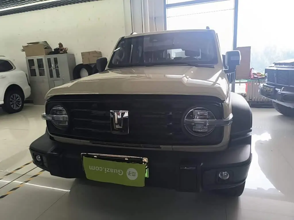 Tank 300 New Energy 2025 — Photo 3/20