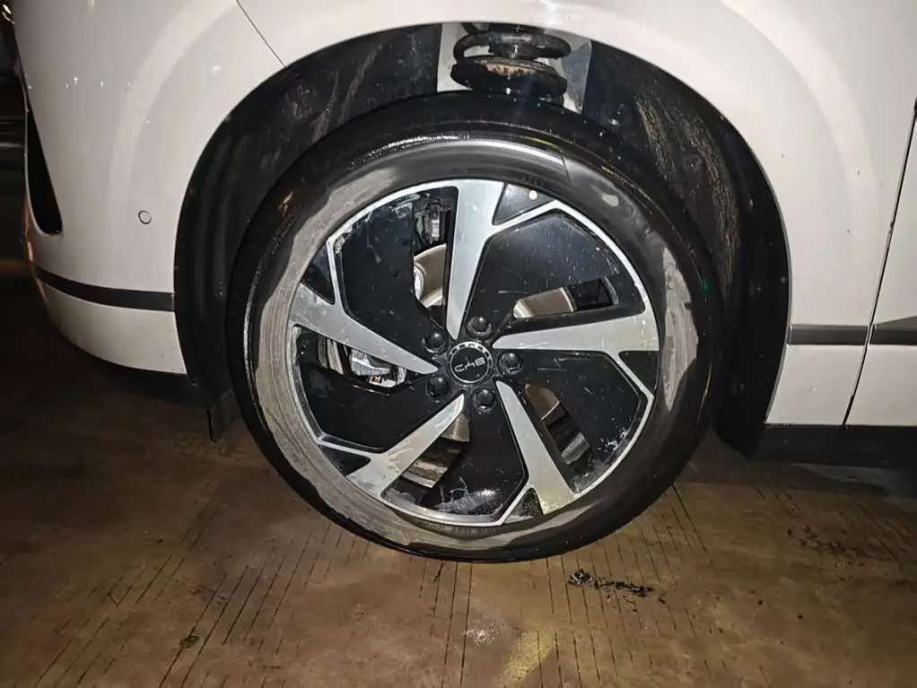BYD Sealion 06 New Energy 2025 — Photo 19/20