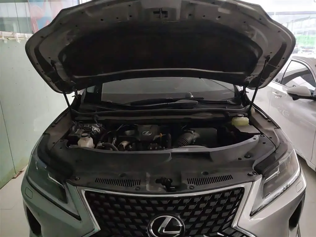Lexus RX 2021 — ფოტო 20/20