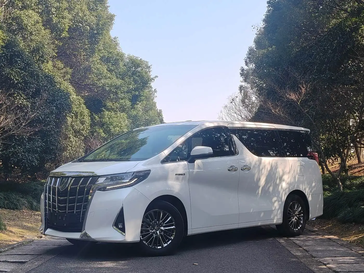 Toyota Alphard 2022 — Photo 1/20