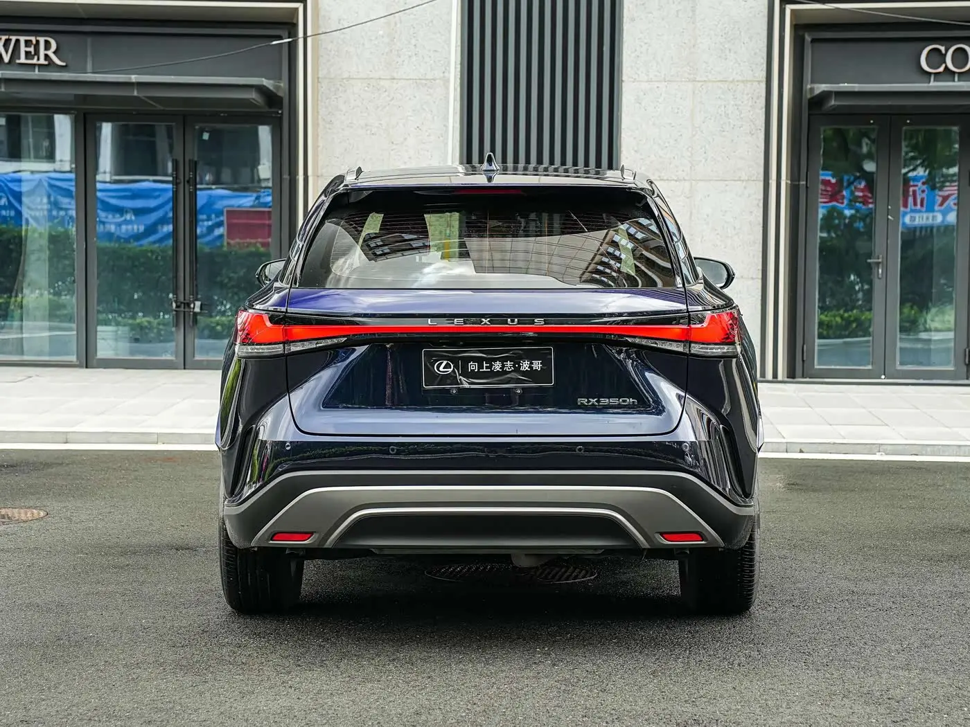 Lexus RX 2023 — Фото 5/20