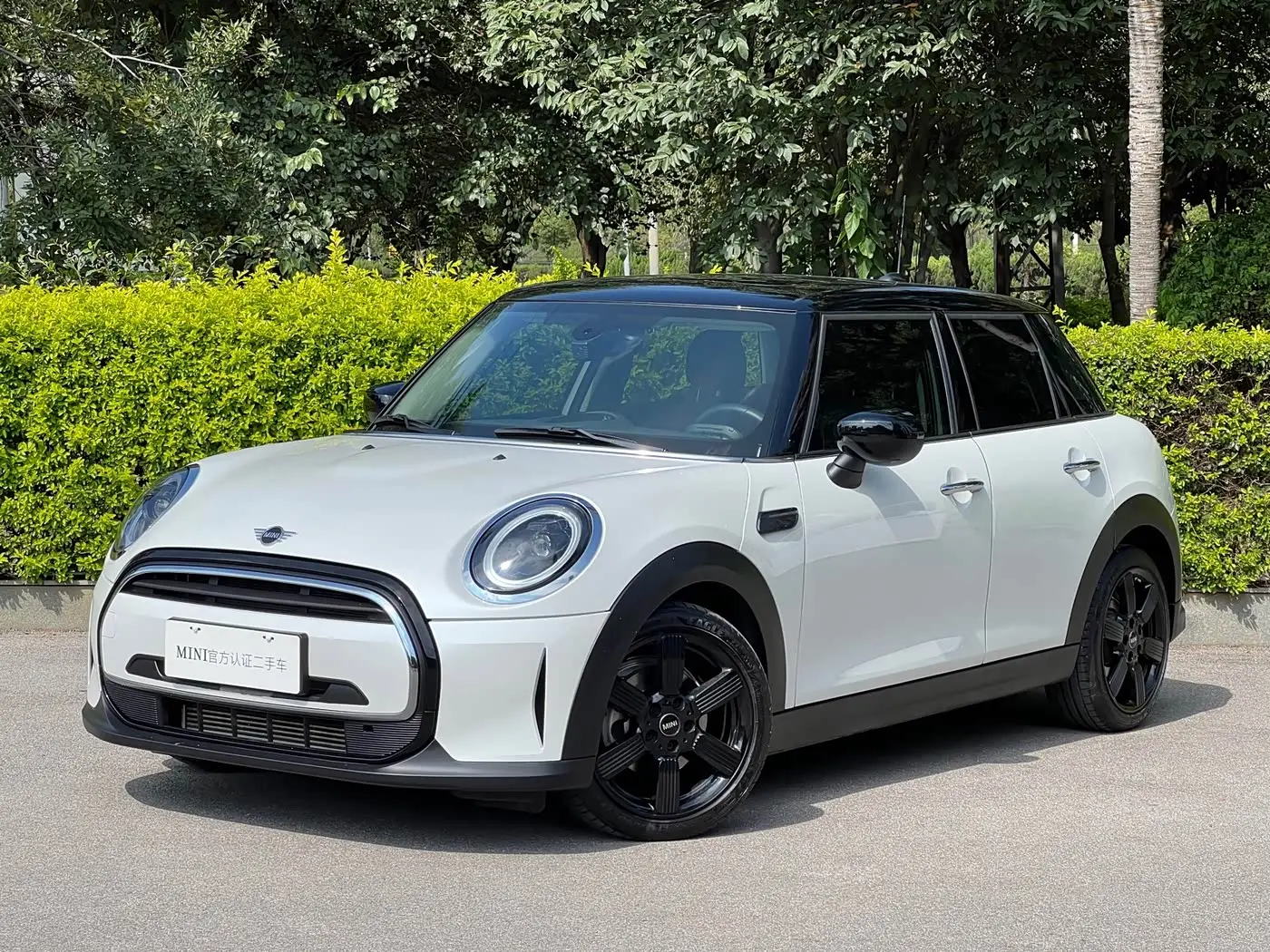 MINI MINI, 2023
