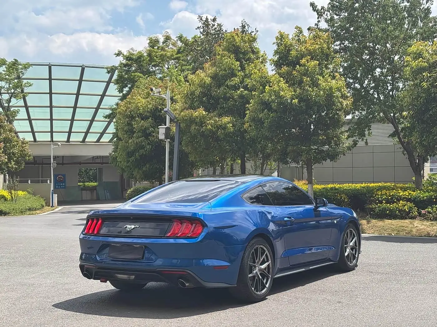 Ford Mustang 2019 — Şəkil 5/17