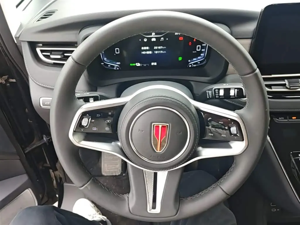 Hongqi HQ9 PHEV 2024 — ფოტო 11/20