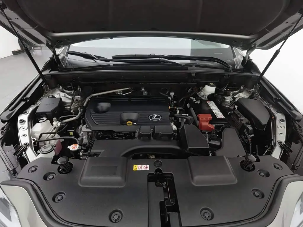 Lexus NX 2022 — Photo 6/20