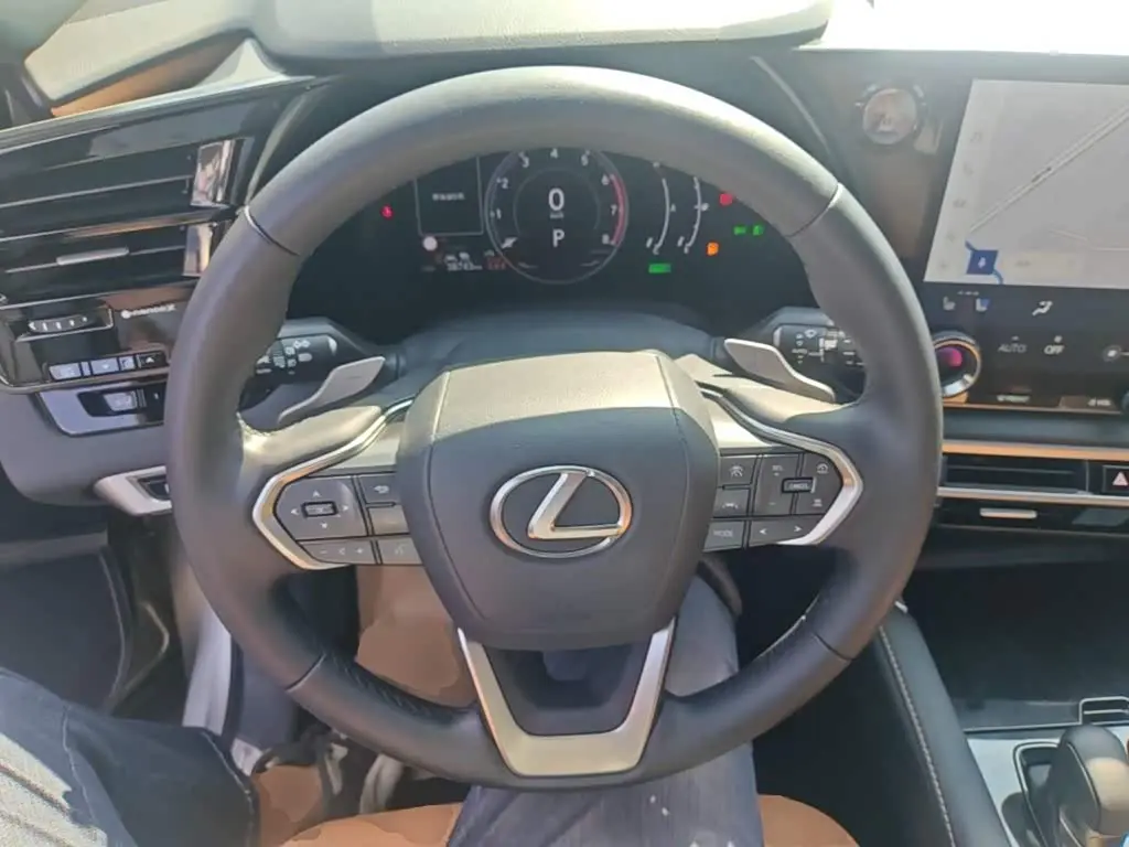 Lexus RX 2024 — Photo 10/19