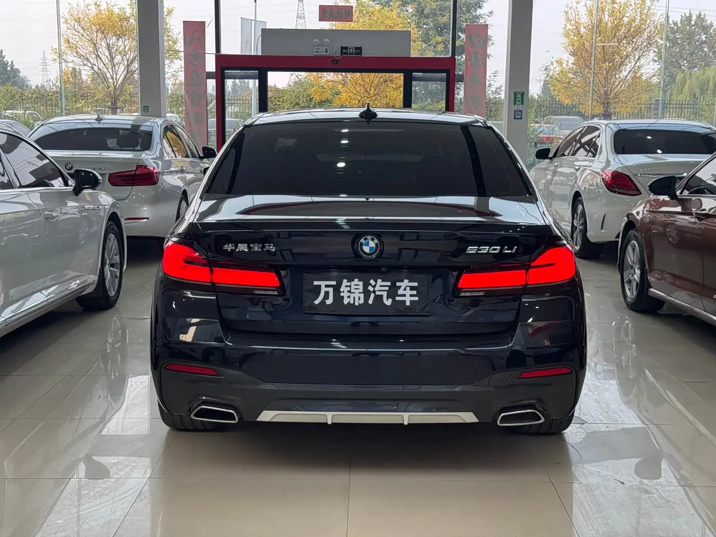 BMW 5 Series 2023 — Şəkil 5/12