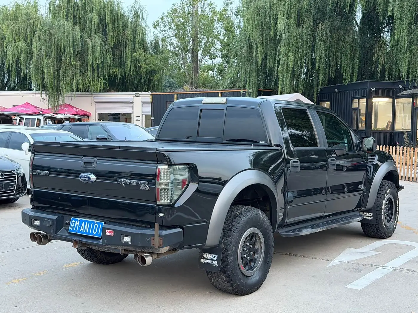 Ford F-150 Raptor 2015 — Фото 4/10