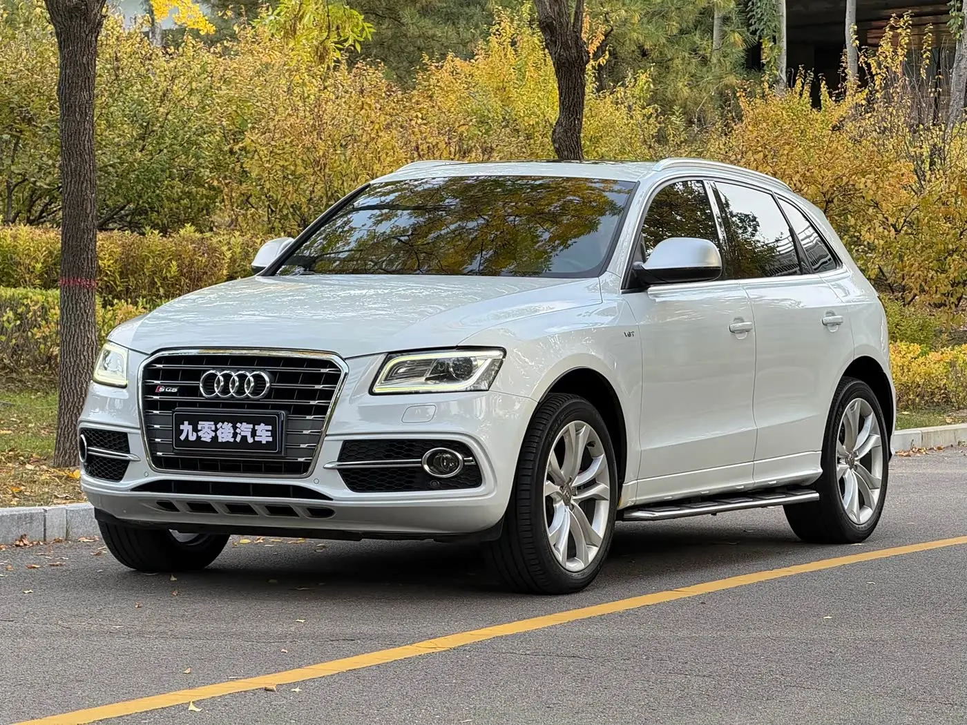 Audi SQ5 2014 — Фото 5/20