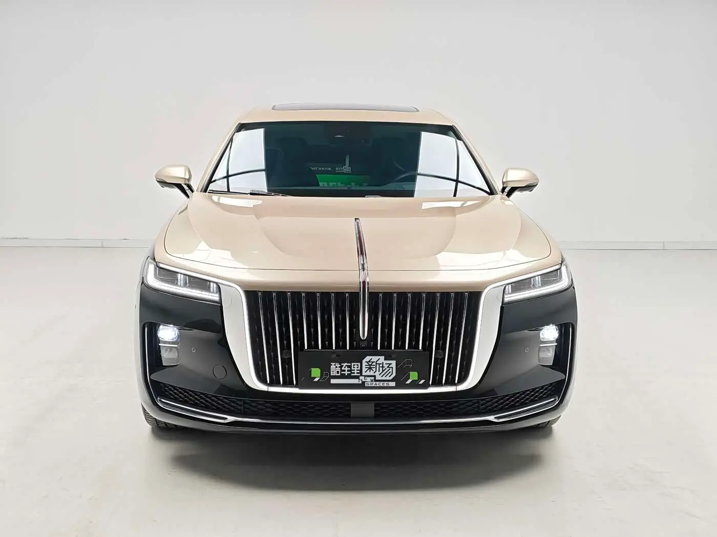 Hongqi H9 2023 — Şəkil 2/19