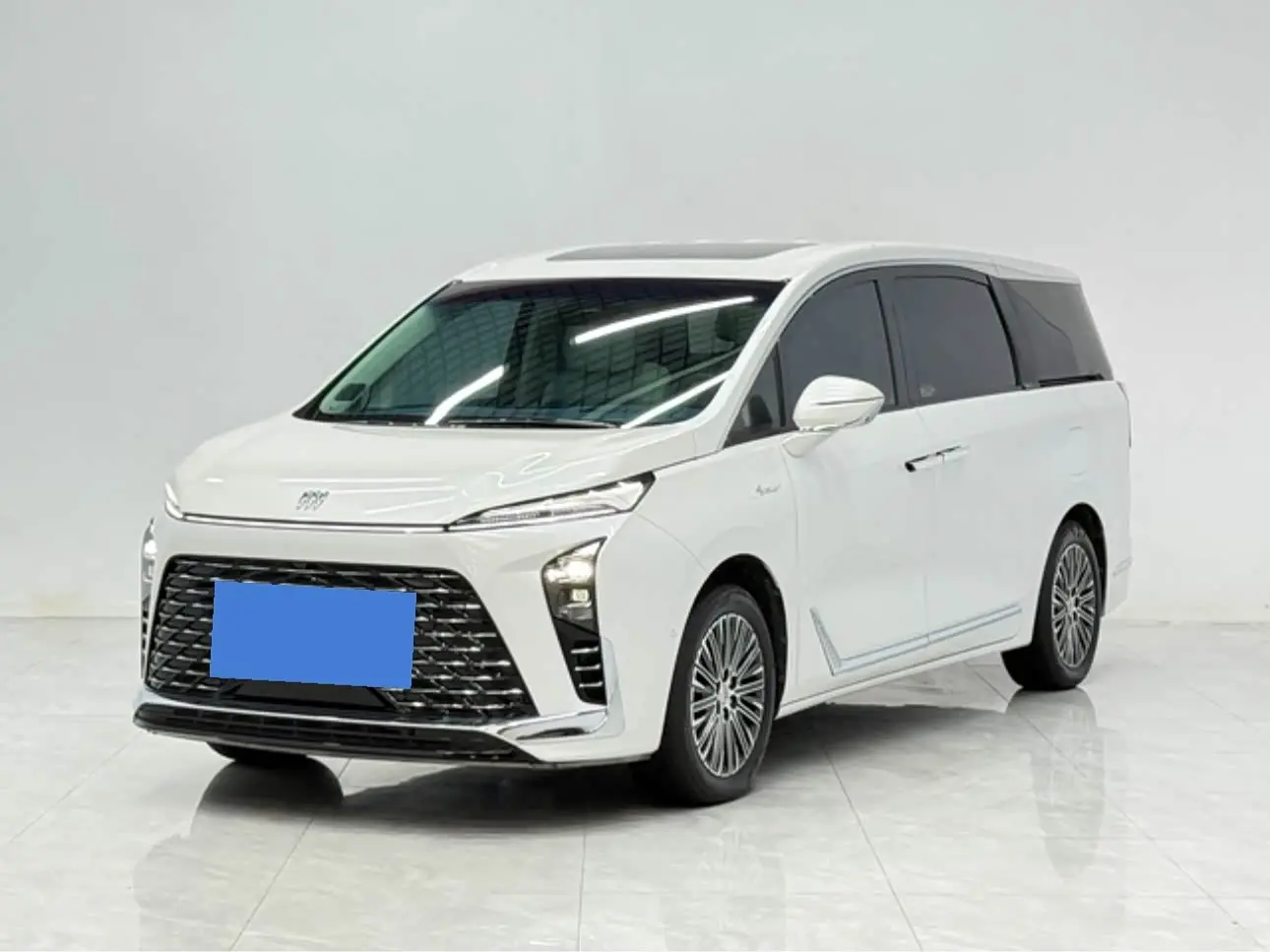 Buick GL8 New Energy 2025 — Photo 1/12