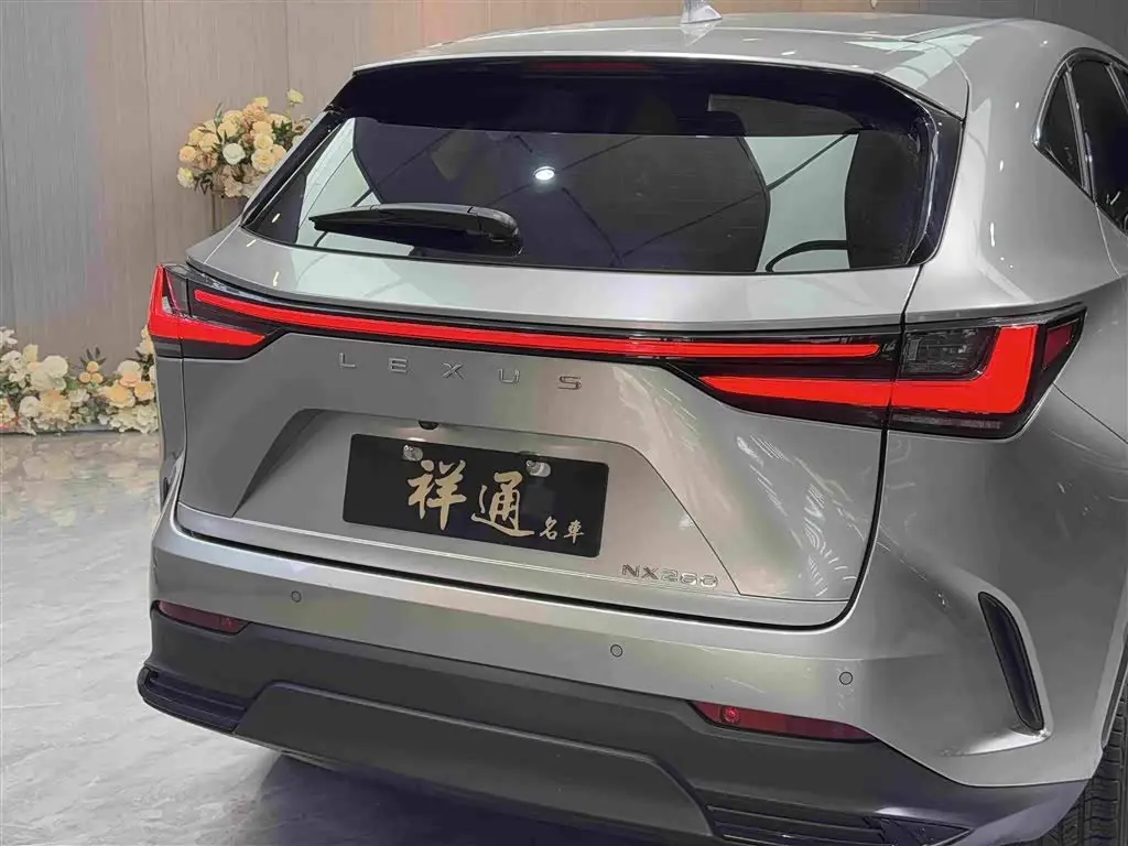 Lexus NX 2023 — Şəkil 18/20