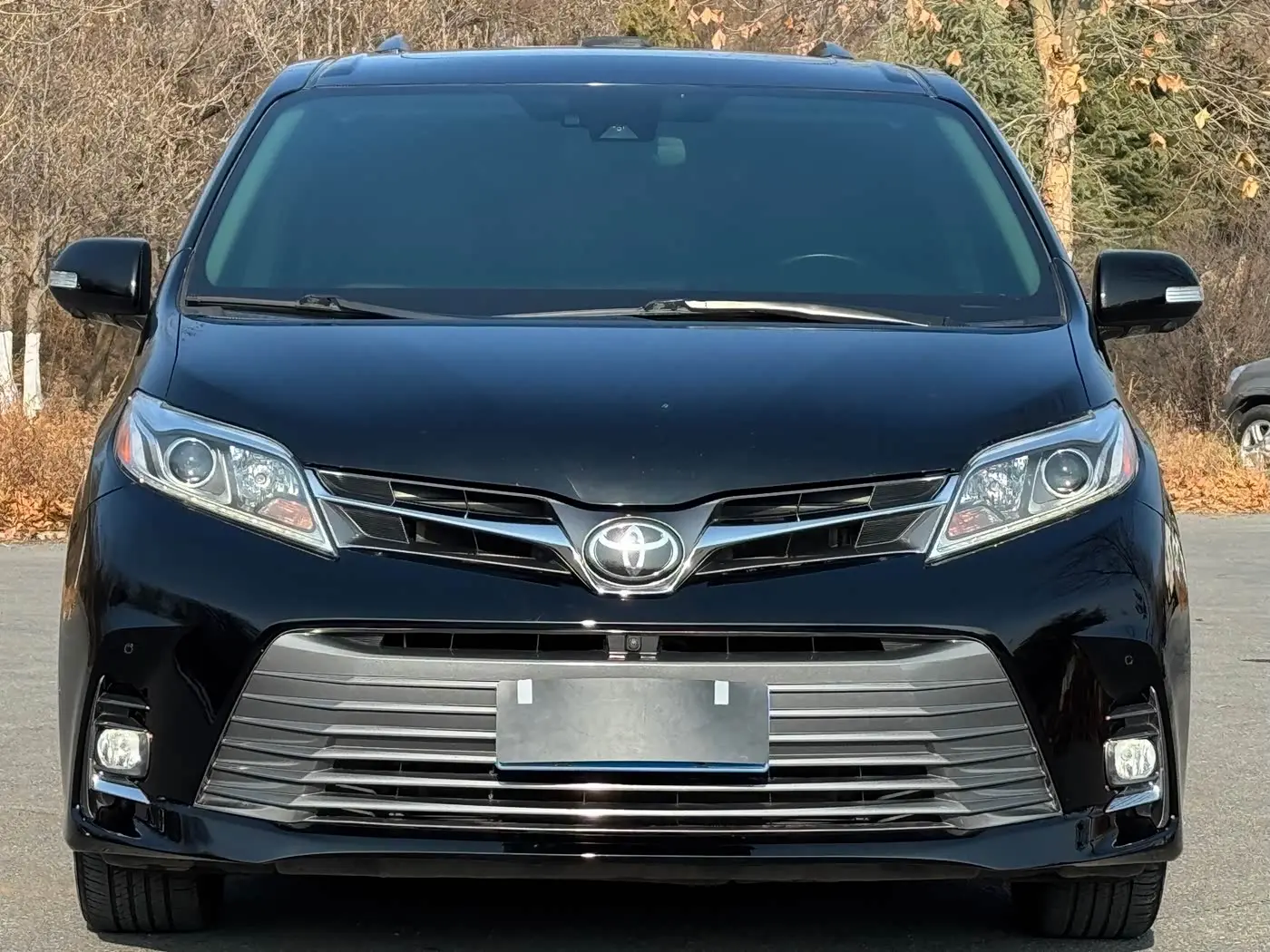Toyota Sienna 2018 — Фото 2/16
