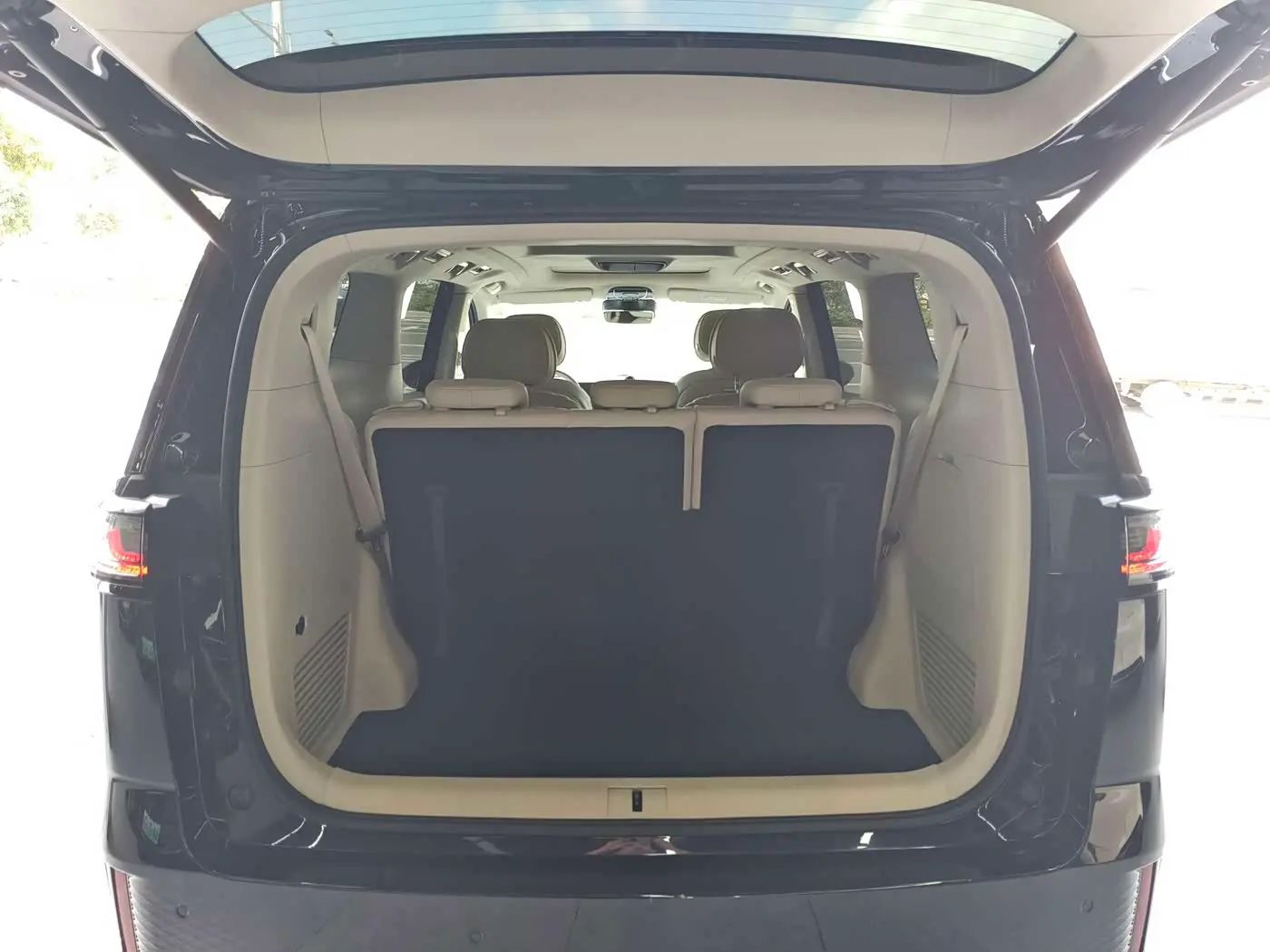 Voyah Auto Voyah Dreamer 2023 — Şəkil 7/19