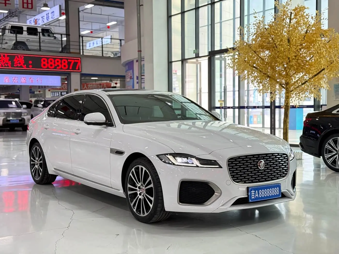 Jaguar XFL 2025 — Photo 3/17