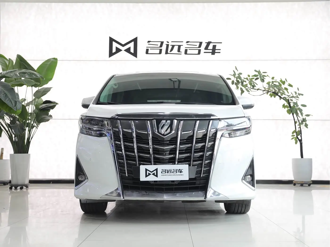 Toyota Alphard 2019 — Şəkil 2/17