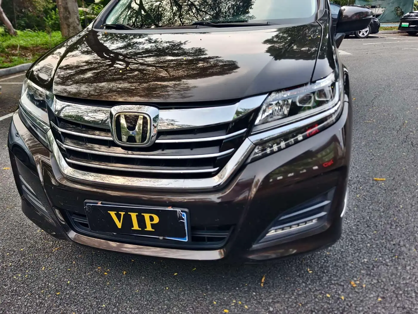 Honda Elysion 2018 — Фото 16/19