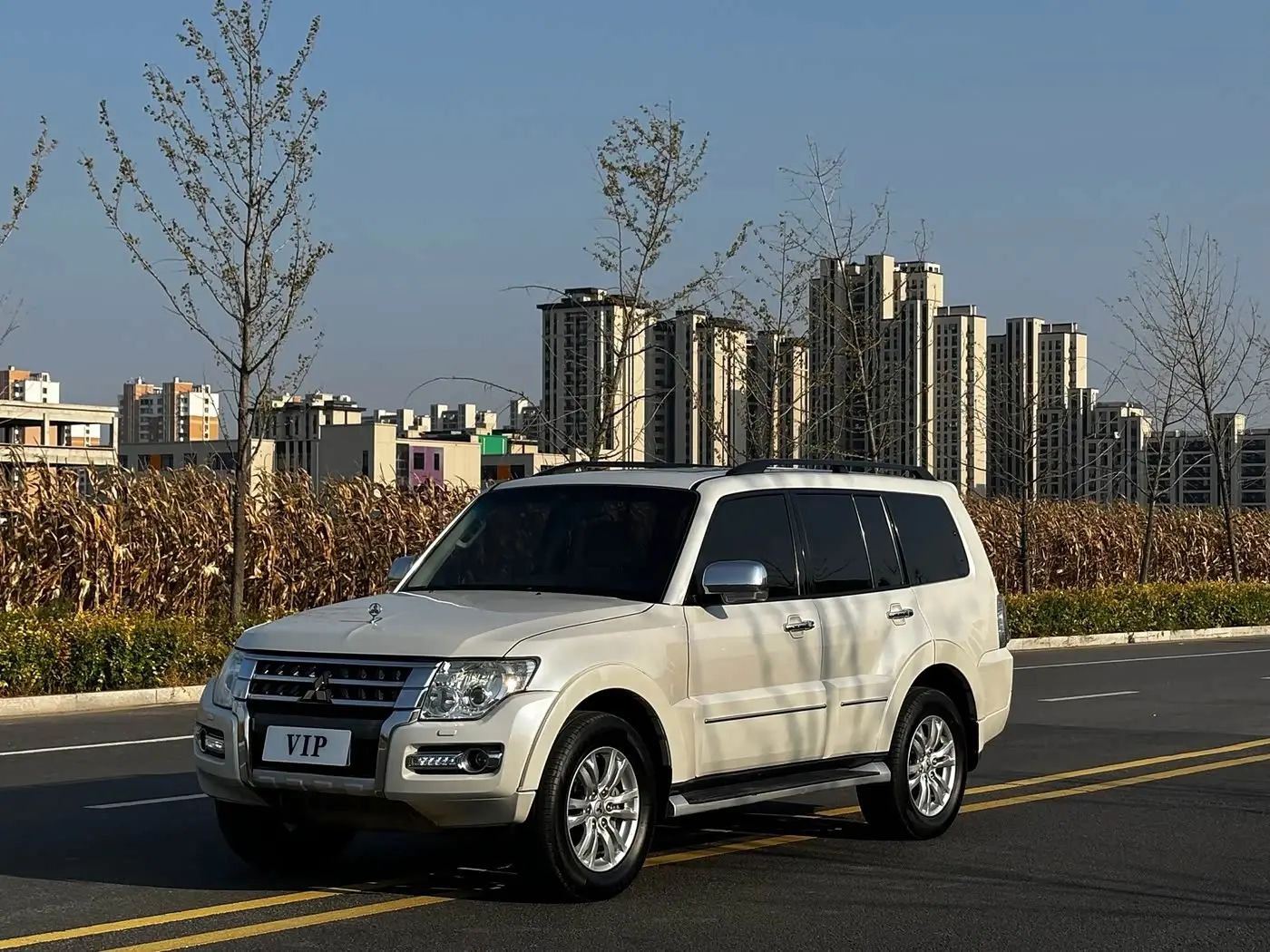 Mitsubishi Pajero 2019 — Фото 1/9